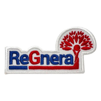 Pandone Farbe gestickter Logo Patches Twill Felt Fabric trägt Flecken-Flausch-Schutzträger zur Schau